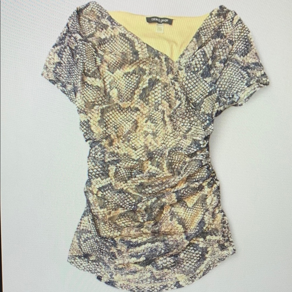 Multicolored Fitted Ruched Short Sleeve Blouse